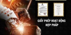 Giấy phép nhà cái